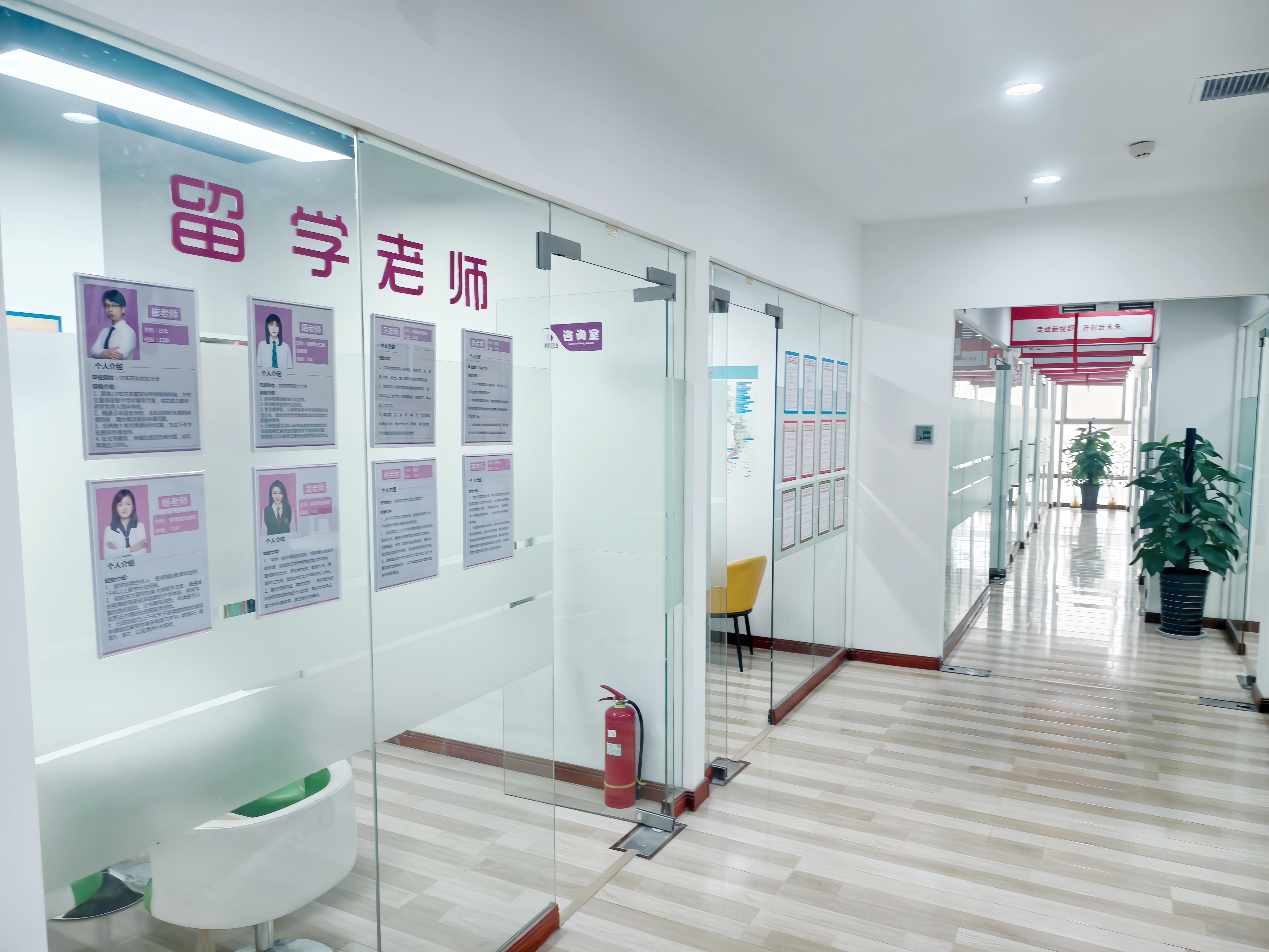 西安留学,西安留学中介,西安留学机构,西安留学中介推荐,西安留学机构推荐,西安新视野留学,西安留学机构哪家好,西安留学中介哪家好